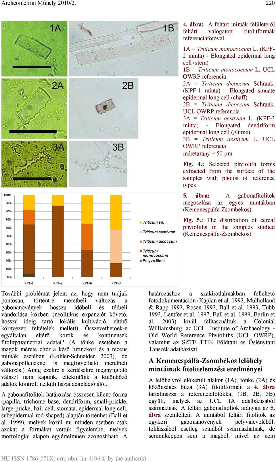 (KPF-1 minta) - Elongated sinuate epidermal long cell (chaff) 2B = Triticum dicoccum Schrank. UCL OWRP referencia 3A = Triticum aestivum L.
