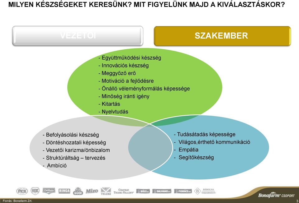 véleményformálás képessége - Minőség iránti igény - Kitartás - Nyelvtudás - Befolyásolási készség -