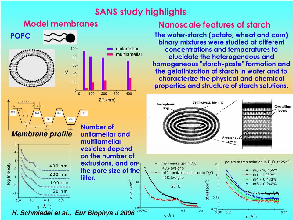 characterize the physical and chemical properties and structure of starch solutions.