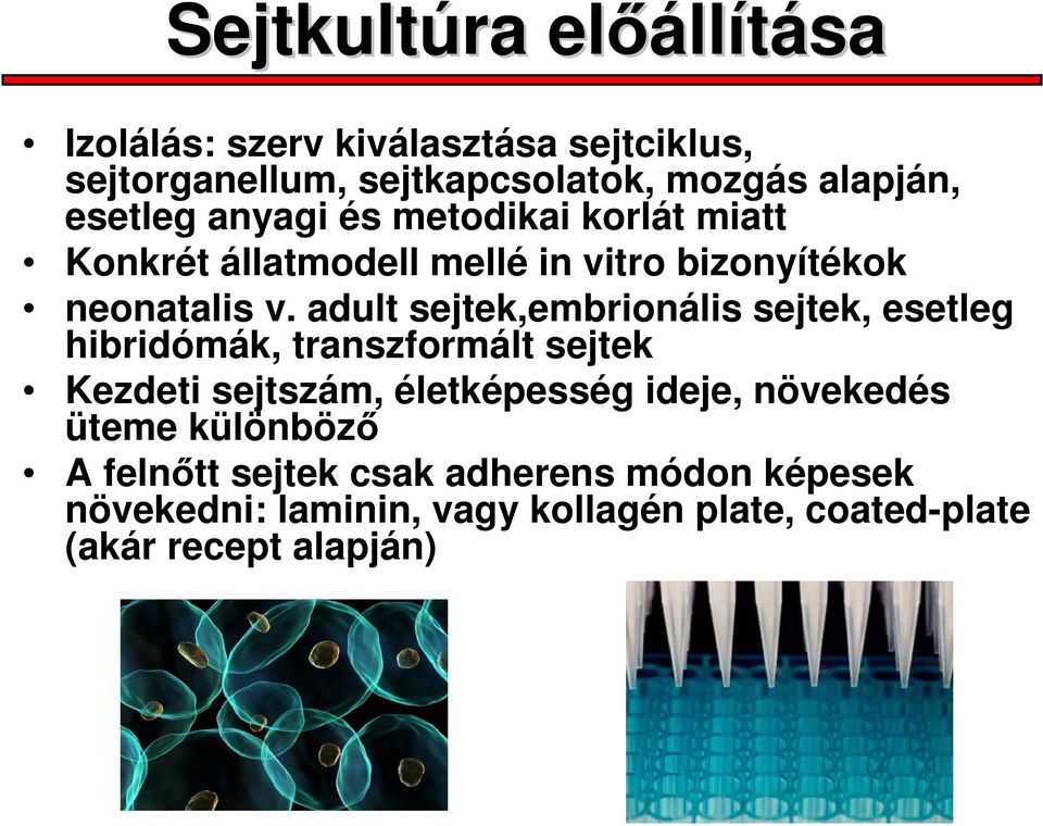 adult sejtek,embrionális sejtek, esetleg hibridómák, transzformált sejtek Kezdeti sejtszám, életképesség ideje,
