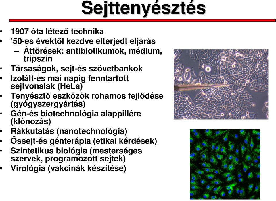 rohamos fejlődése (gyógyszergyártás) Gén-és biotechnológia alappillére (klónozás) Rákkutatás (nanotechnológia)