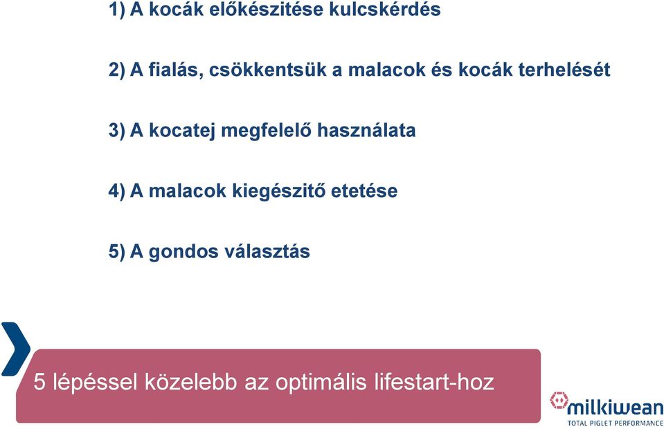 megfelelő használata 4) A malacok kiegészitő etetése 5)