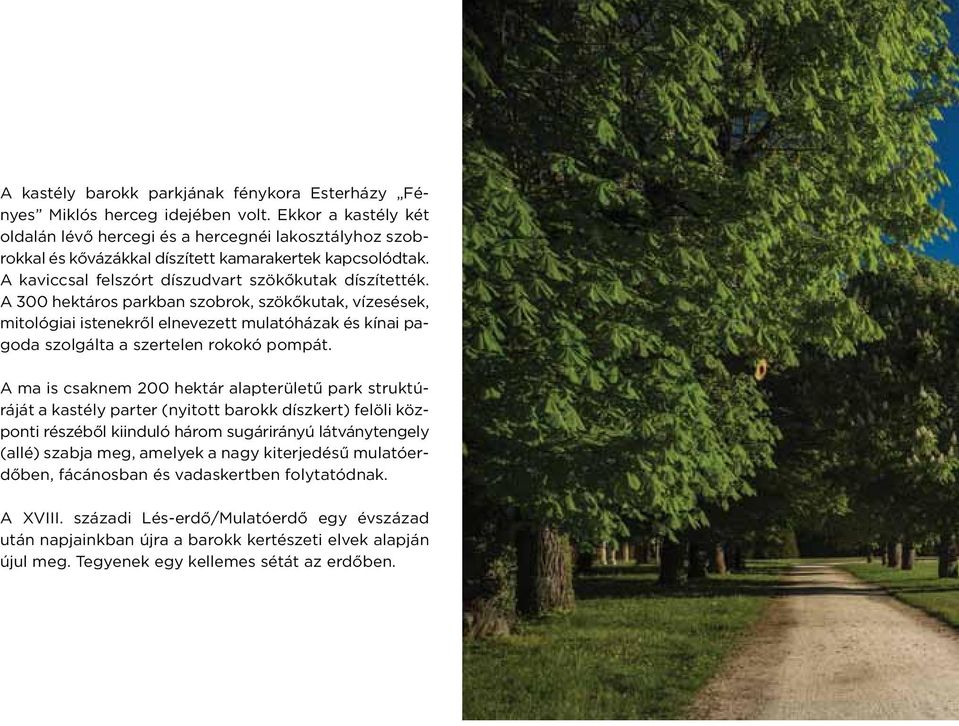 A 300 hektáros parkban szobrok, szökőkutak, vízesések, mitológiai istenekről elnevezett mulatóházak és kínai pagoda szolgálta a szertelen rokokó pompát.