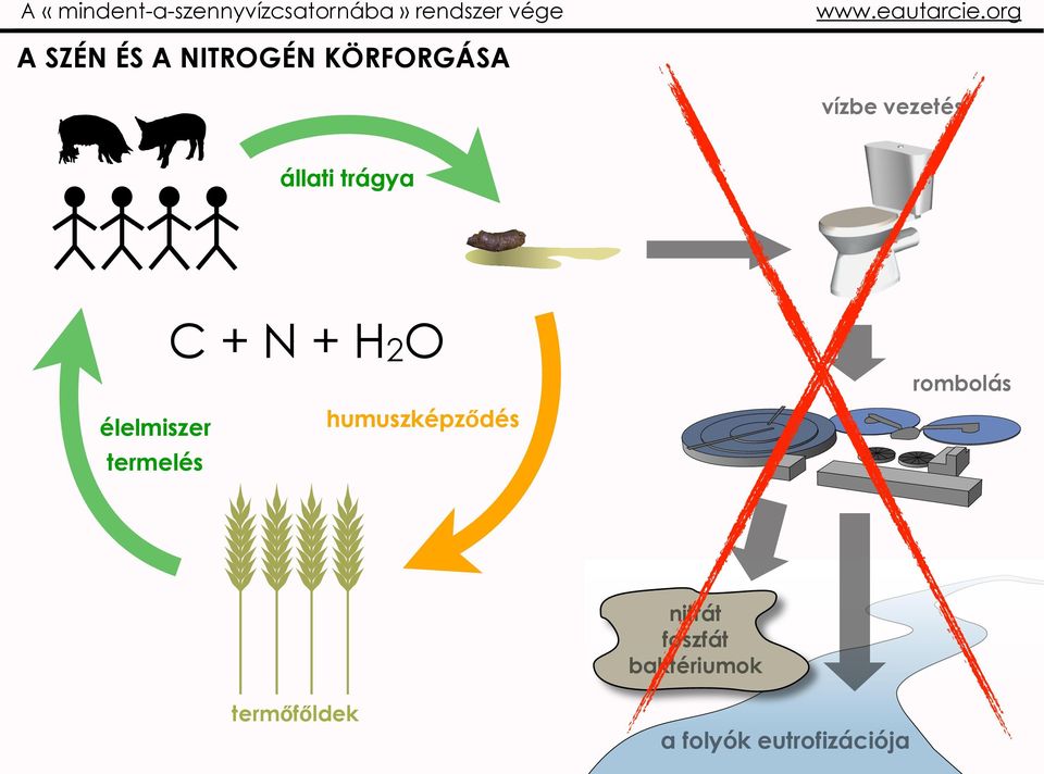 N + H2O élelmiszer humuszképződés termelés rombolás