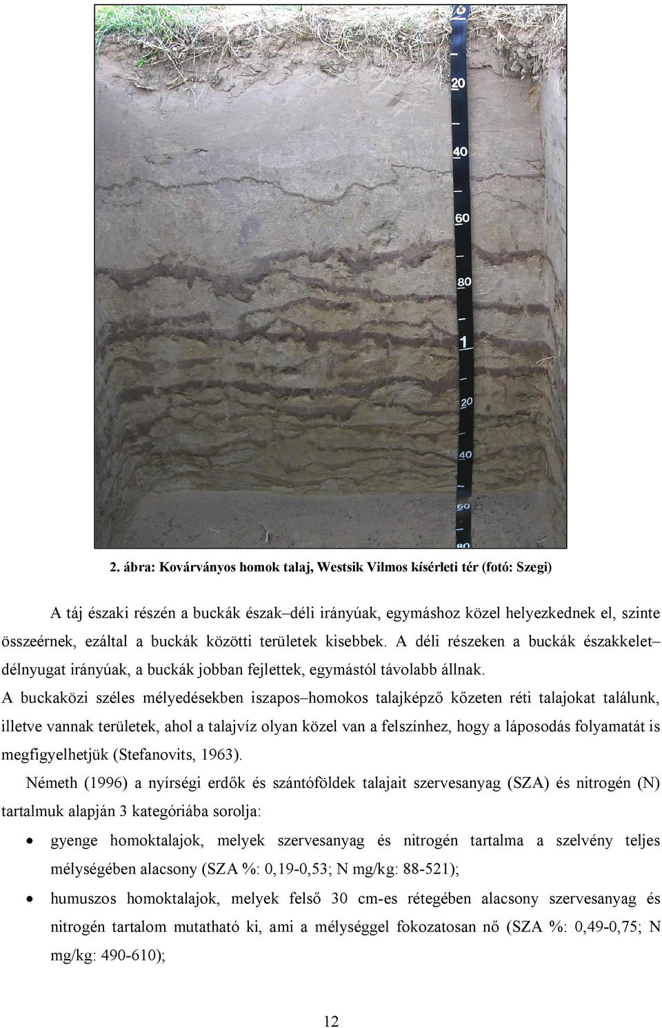 A buckaközi széles mélyedésekben iszapos homokos talajképző kőzeten réti talajokat találunk, illetve vannak területek, ahol a talajvíz olyan közel van a felszínhez, hogy a láposodás folyamatát is