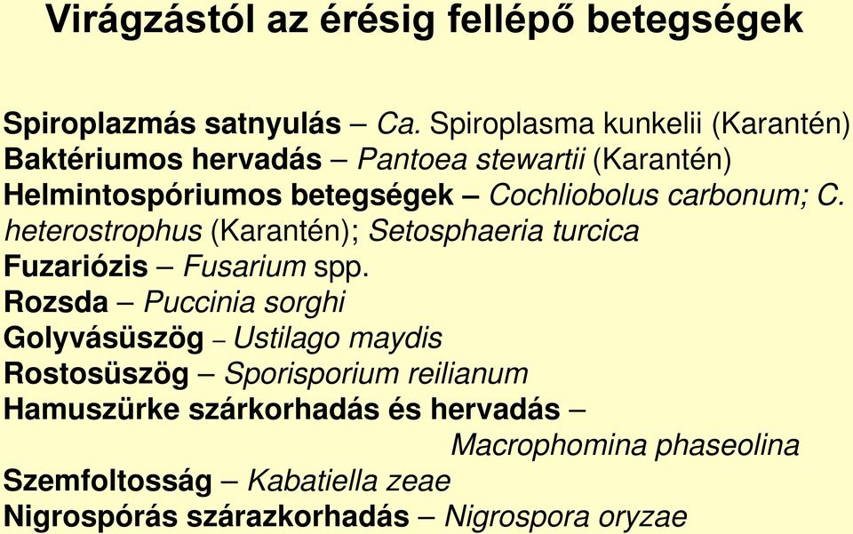 carbonum; C. heterostrophus (Karantén); Setosphaeria turcica Fuzariózis Fusarium spp.