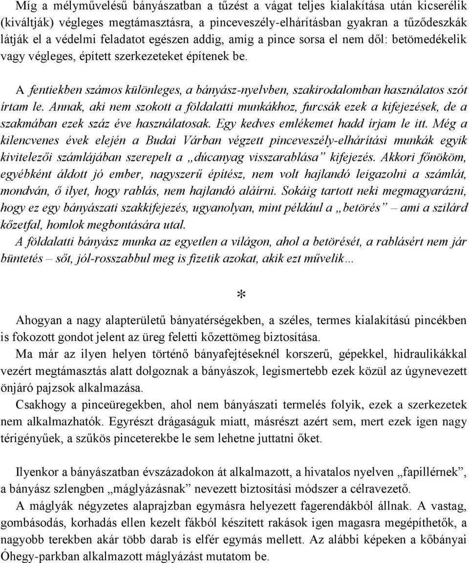A fentiekben számos különleges, a bányász-nyelvben, szakirodalomban használatos szót írtam le.