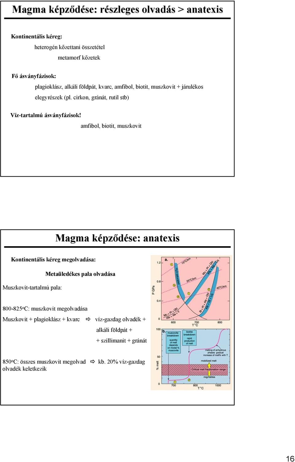 amfibol, biotit, muszkovit Magma képződése: anatexis Kontinentális kéreg megolvadása: Muszkovit-tartalmú pala: Metaüledékes pala olvadása 800-825 o C: