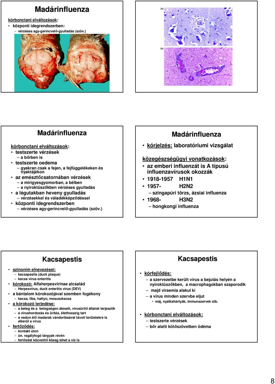 gyulladás a légutakban heveny gyulladás vérzésekkel és váladékképzıdéssel központi idegrendszerben vérzéses agy-gerincvelı-gyulladás (szöv.