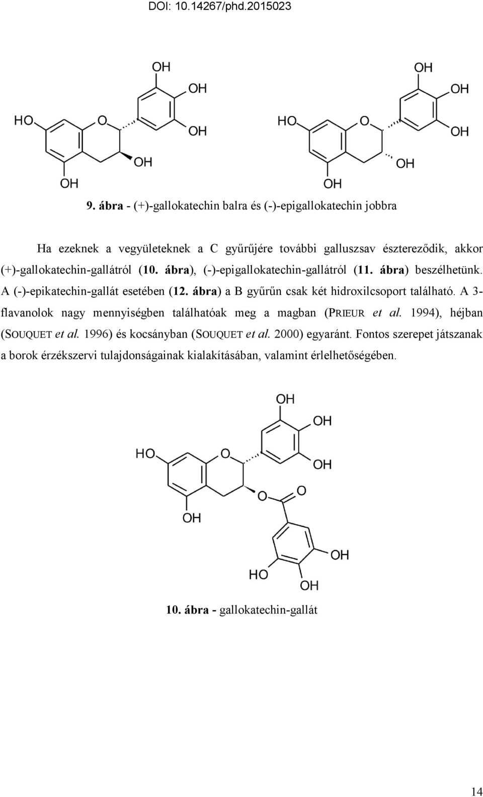 ábra) a B gyűrűn csak két hidroxilcsoport található. A 3- flavanolok nagy mennyiségben találhatóak meg a magban (PRIEUR et al. 1994), héjban (SOUQUET et al.