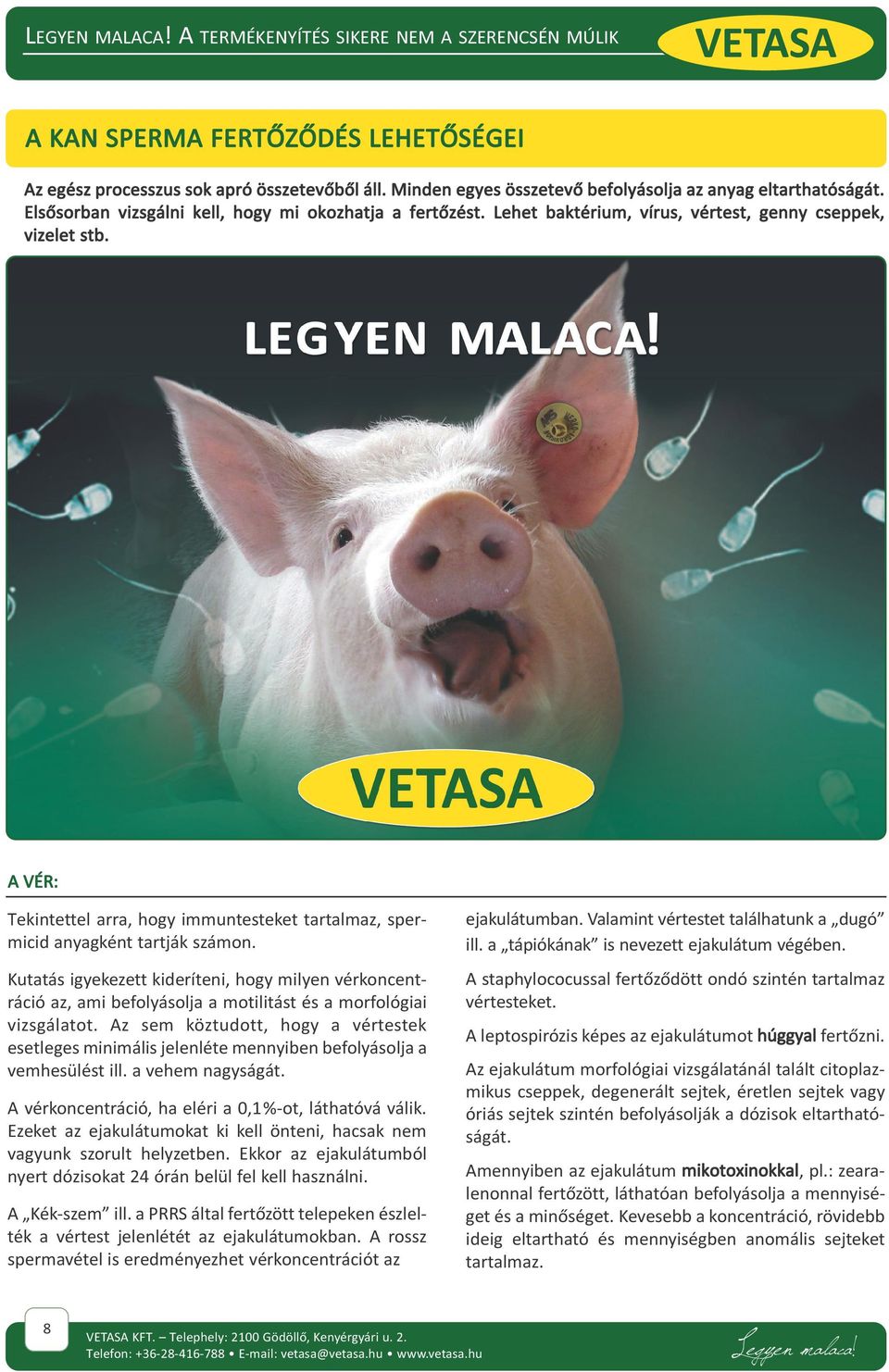 A VÉR: Tekintettel arra, hogy immuntesteket tartalmaz, spermicid anyagként tartják számon. ejakulátumban. Valamint vértestet találhatunk a dugó ill. a tápiókának is nevezett ejakulátum végében.