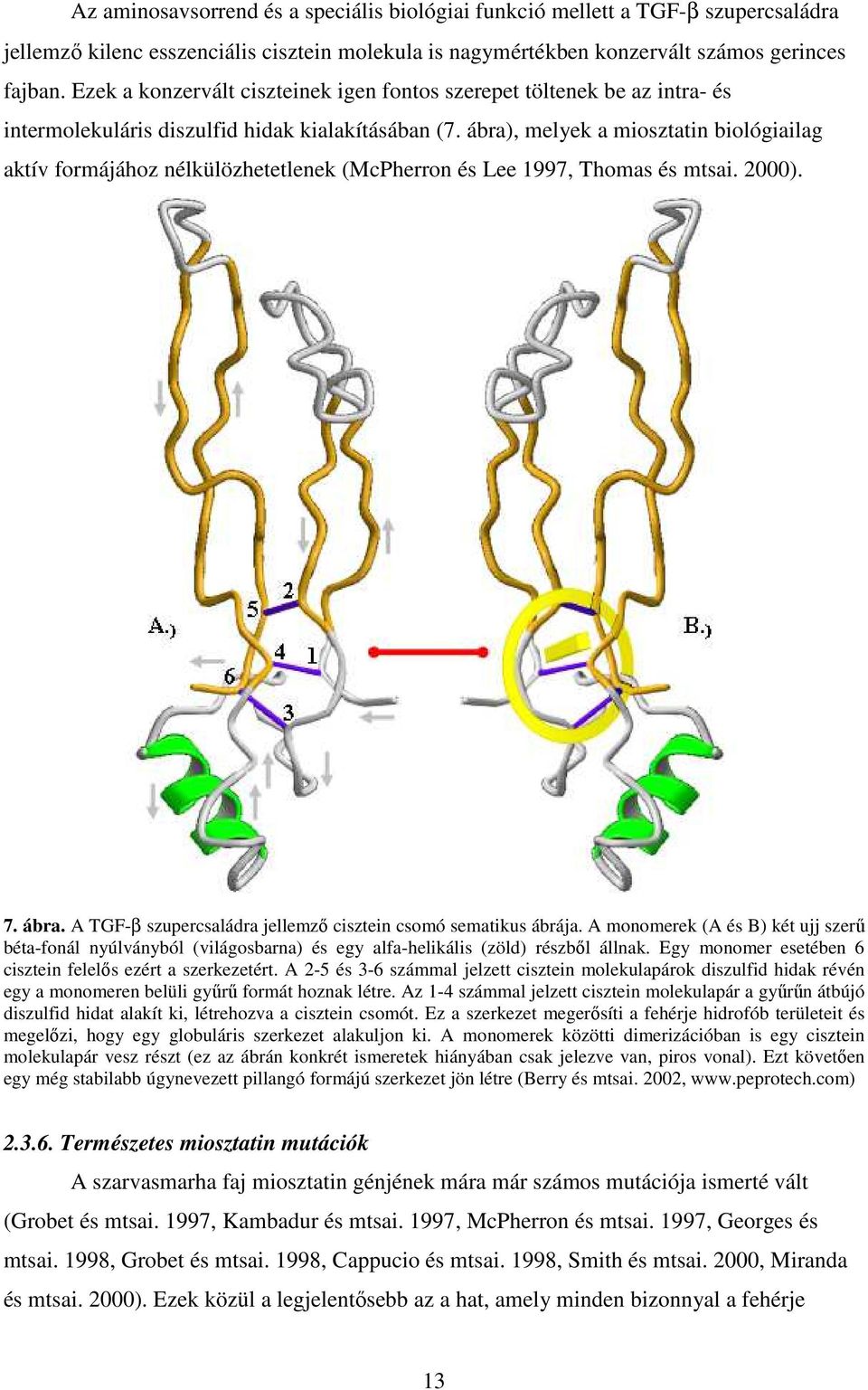 ábra), melyek a miosztatin biológiailag aktív formájához nélkülözhetetlenek (McPherron és Lee 1997, Thomas és mtsai. 2000). 7. ábra. A TGF-β szupercsaládra jellemző cisztein csomó sematikus ábrája.