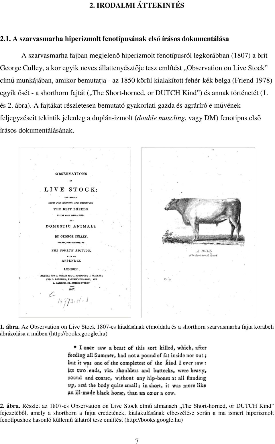 tesz említést Observation on Live Stock című munkájában, amikor bemutatja - az 1850 körül kialakított fehér-kék belga (Friend 1978) egyik ősét - a shorthorn fajtát ( The Short-horned, or DUTCH Kind )