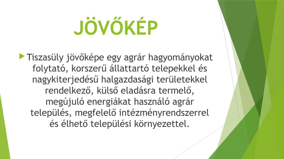 rendelkező, külső eladásra termelő, megújuló energiákat használó agrár