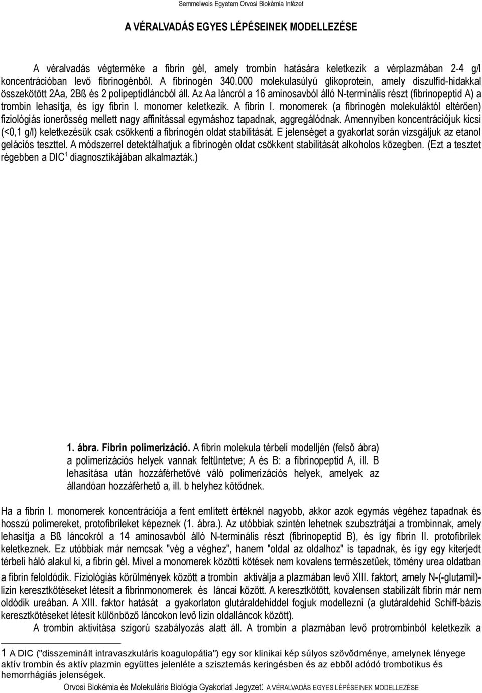 Az Aa láncról a 16 aminosavból álló N-terminális részt (fibrinopeptid A) a trombin lehasítja, és így fibrin I. monomer keletkezik. A fibrin I.