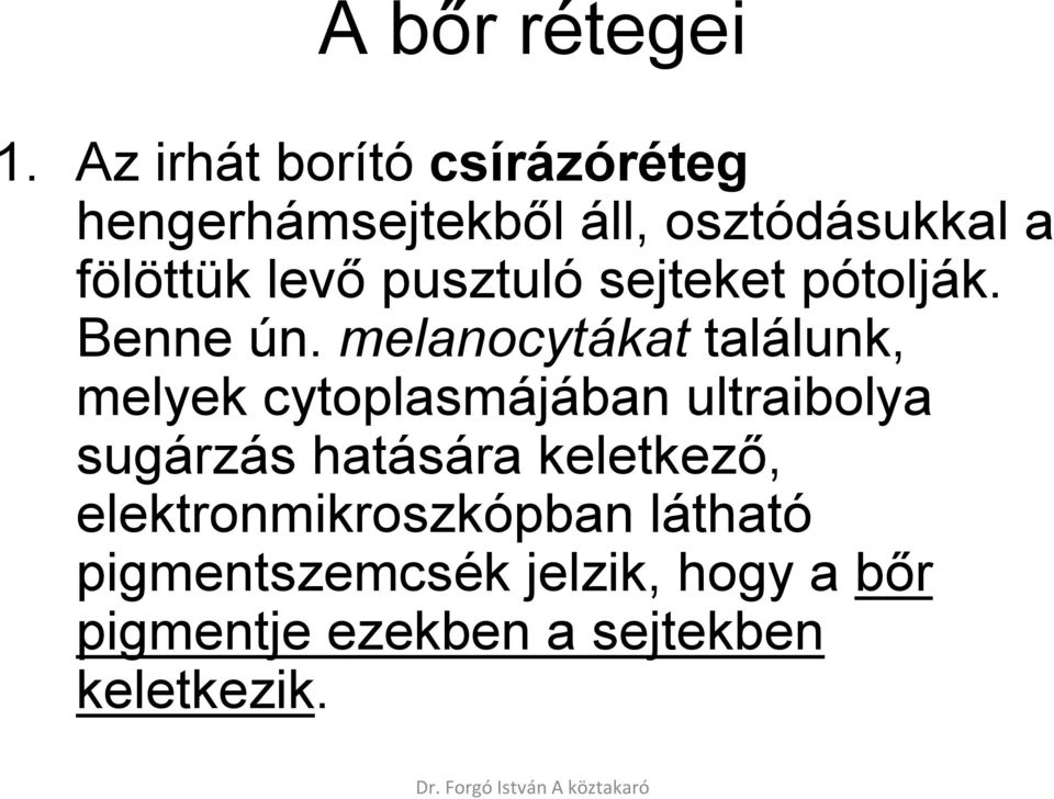pusztuló sejteket pótolják. Benne ún.