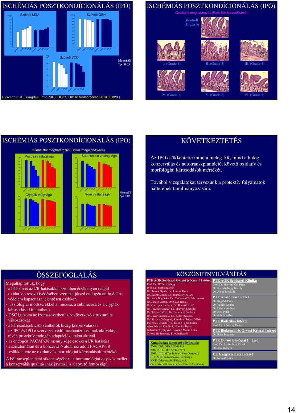 (Grade 3) Quantitatív meghatározás (Scion Image Software) Mucosa vastagsága 1 9 8 7 6 5 6 5 4 3 Submucosa vastagsága KÖVETKEZTETÉS Az IPO csökkentette mind a meleg I/R, mind a hideg konzerválás és
