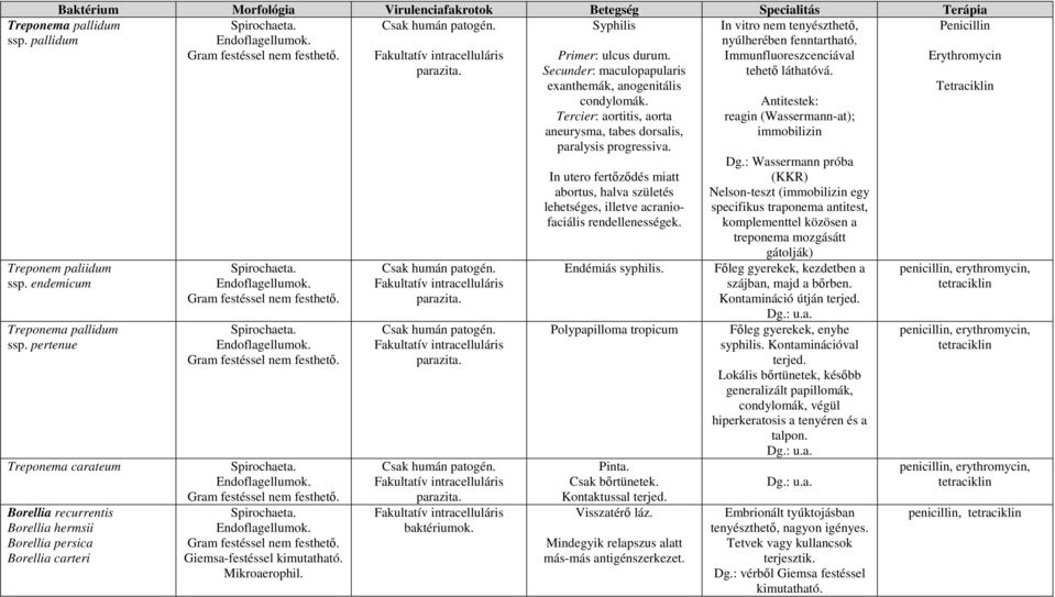 Primer: ulcus durum. Secunder: maculopapularis exanthemák, anogenitális condylomák. Tercier: aortitis, aorta aneurysma, tabes dorsalis, paralysis progressiva.