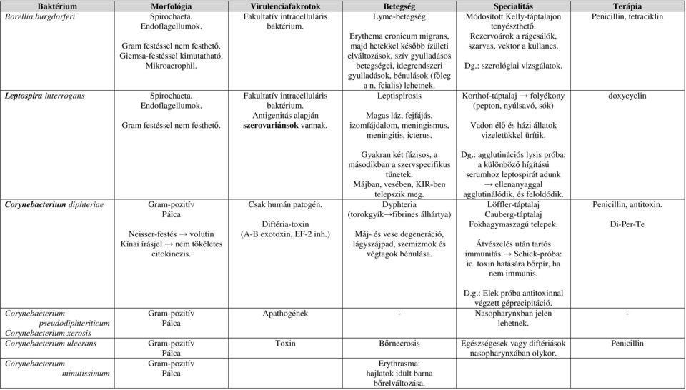 Leptispirosis Magas láz, fejfájás, izomfájdalom, meningismus, meningitis, icterus. Módosított Kelly-táptalajon tenyészthetı. Rezervoárok a rágcsálók, szarvas, vektor a kullancs. Dg.