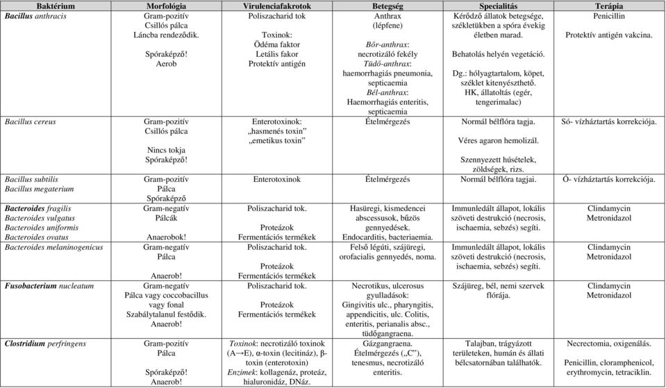 Clostridium perfringens Spóraképzı!
