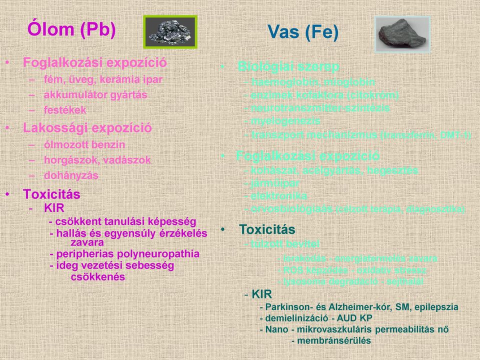 neurotranszmitter-szintézis - myelogenezis - transzport mechanizmus (transzferrin, DMT-1) Foglalkozási expozíció - kohászat, acélgyártás, hegesztés - járműipar - elektronika - orvosbiológiaás