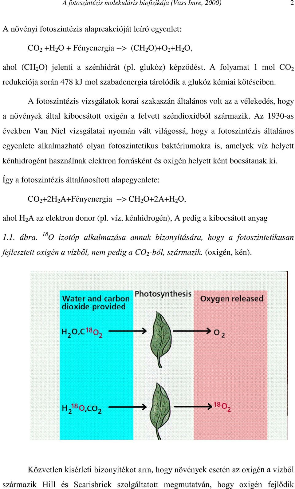 A fotoszintézis vizsgálatok korai szakaszán általános volt az a vélekedés, hogy a növények által kibocsátott oxigén a felvett széndioxidból származik.