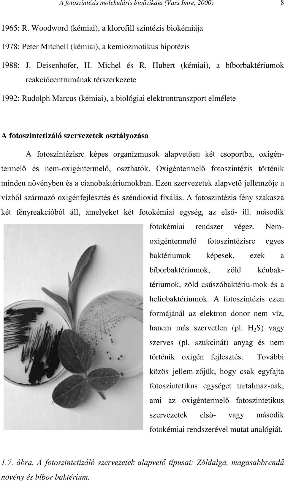 Hubert (kémiai), a bíborbaktériumok reakciócentrumának térszerkezete 1992: Rudolph Marcus (kémiai), a biológiai elektrontranszport elmélete A fotoszintetizáló szervezetek osztályozása IRWRV]LQWp]LVU