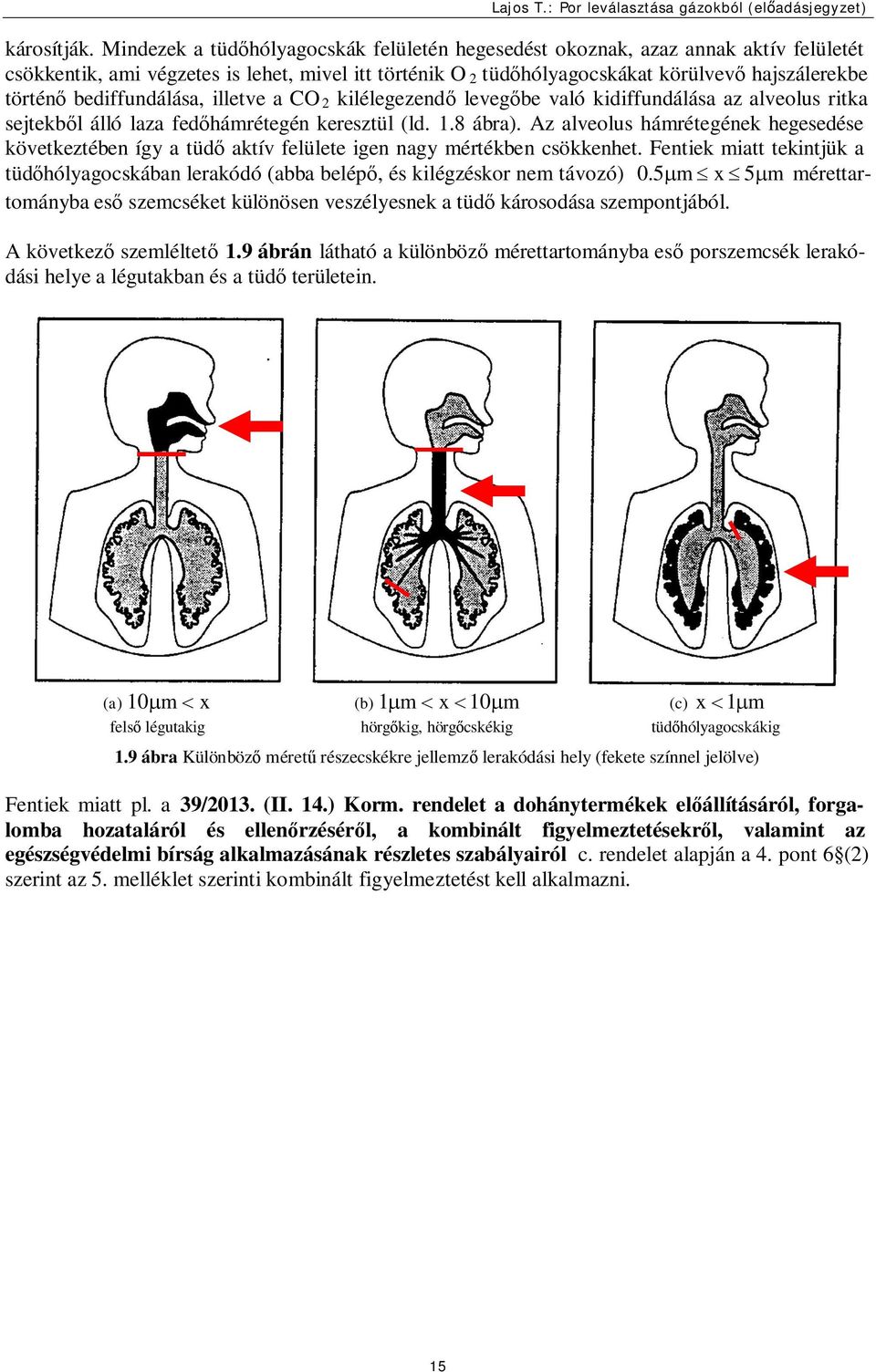 bediffundálása, illetve a CO kilélegezendő levegőbe való kidiffundálása az alveolus ritka sejtekből álló laza fedőhámrétegén keresztül (ld. 1.8 ábra).