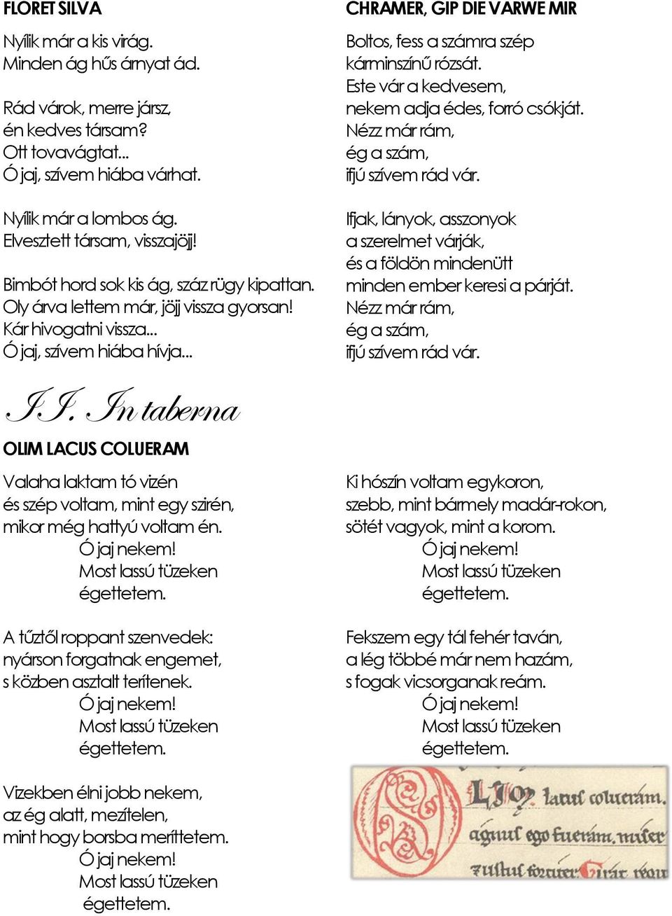 In taberna OLIM LACUS COLUERAM Valaha laktam tó vizén és szép voltam, mint egy szirén, mikor még hattyú voltam én. Ó jaj nekem! Most lassú tüzeken égettetem.