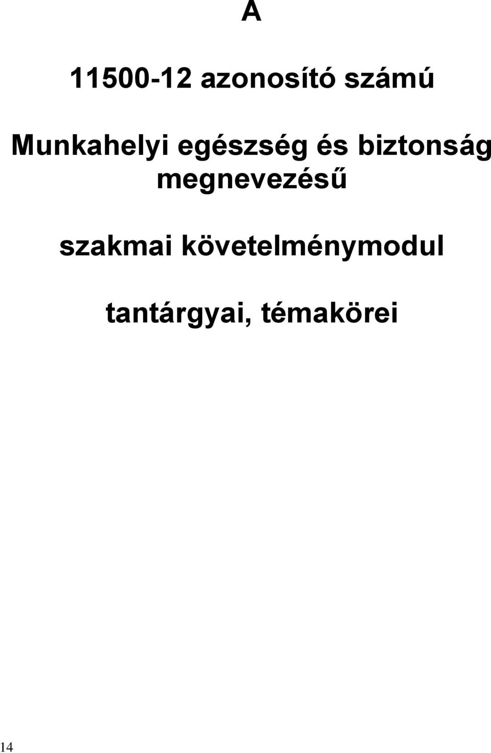 biztonság megnevezésű szakmai