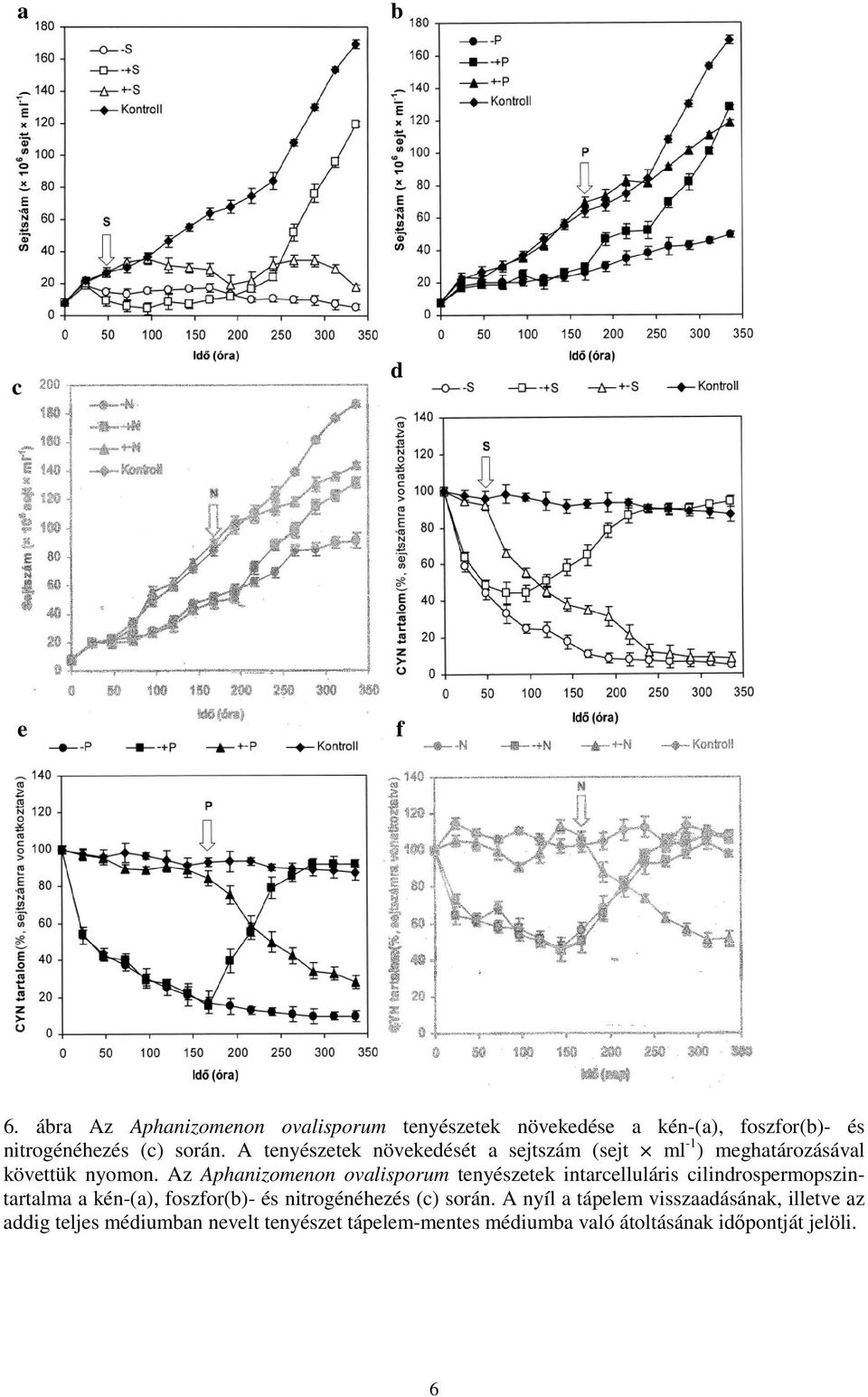 tenyészetek intarcelluláris cilindrospermopszintartalma a kén-(a), foszfor(b)- és nitrogénéhezés (c) során A nyíl a