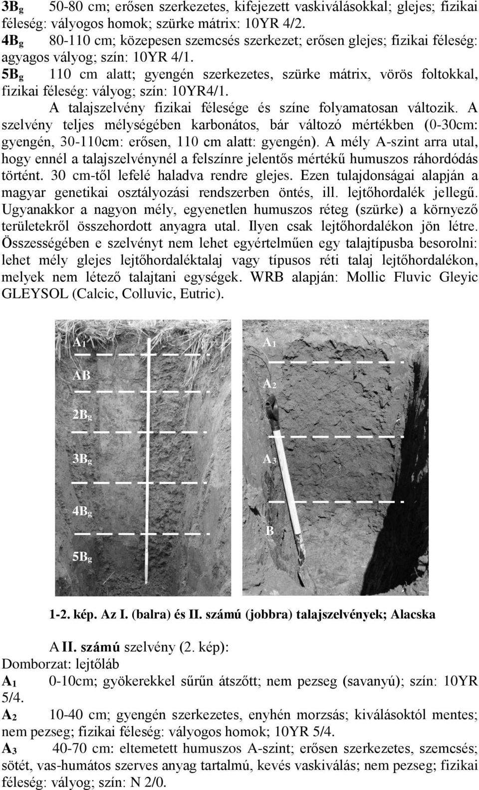 5B g 110 cm alatt; gyengén szerkezetes, szürke mátri, vörös foltokkal, fizikai féleség: vályog; szín: 10YR4/1. A talajszelvény fizikai félesége és színe folyamatosan változik.