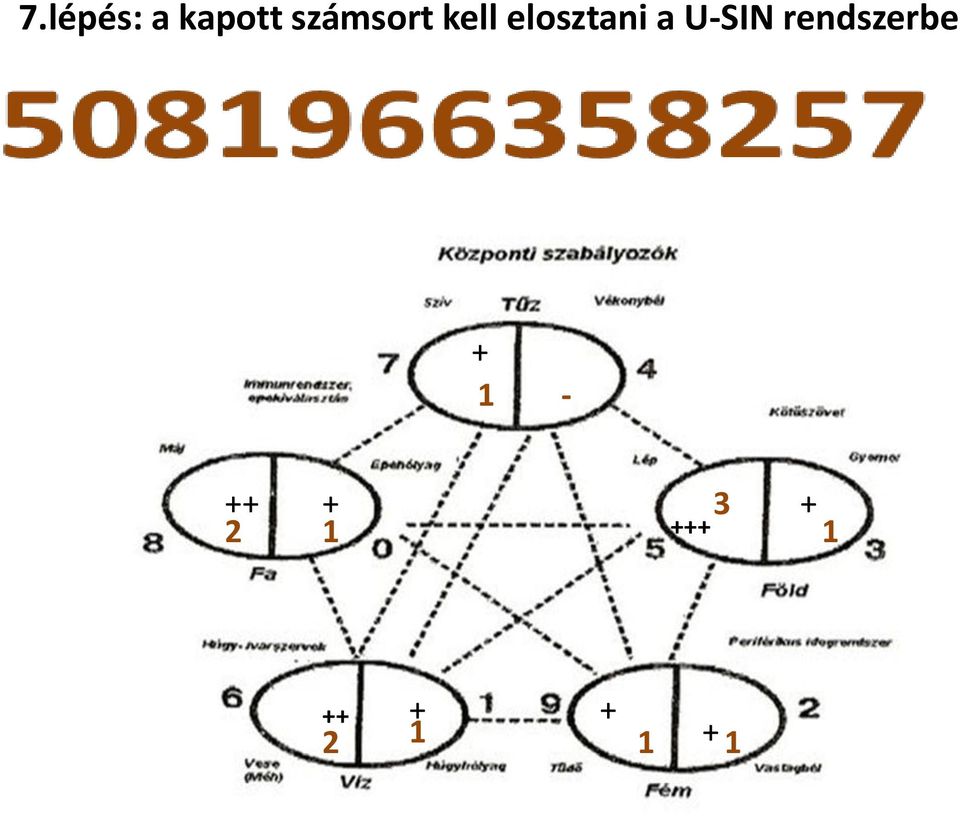 U-SIN rendszerbe + 1 - ++