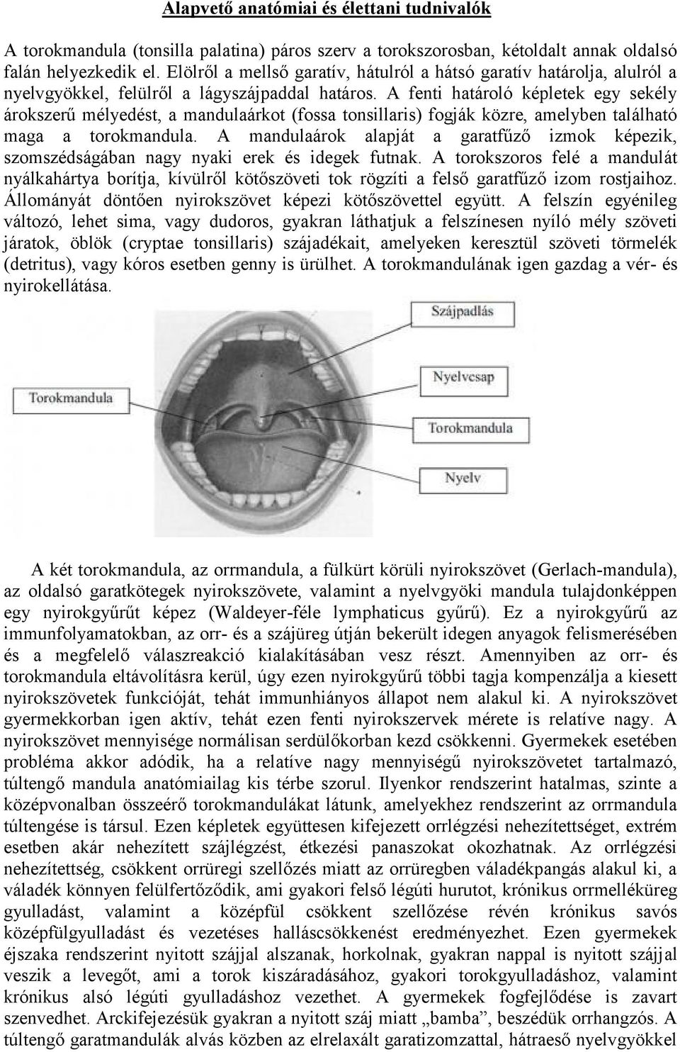 A fenti határoló képletek egy sekély árokszerű mélyedést, a mandulaárkot (fossa tonsillaris) fogják közre, amelyben található maga a torokmandula.