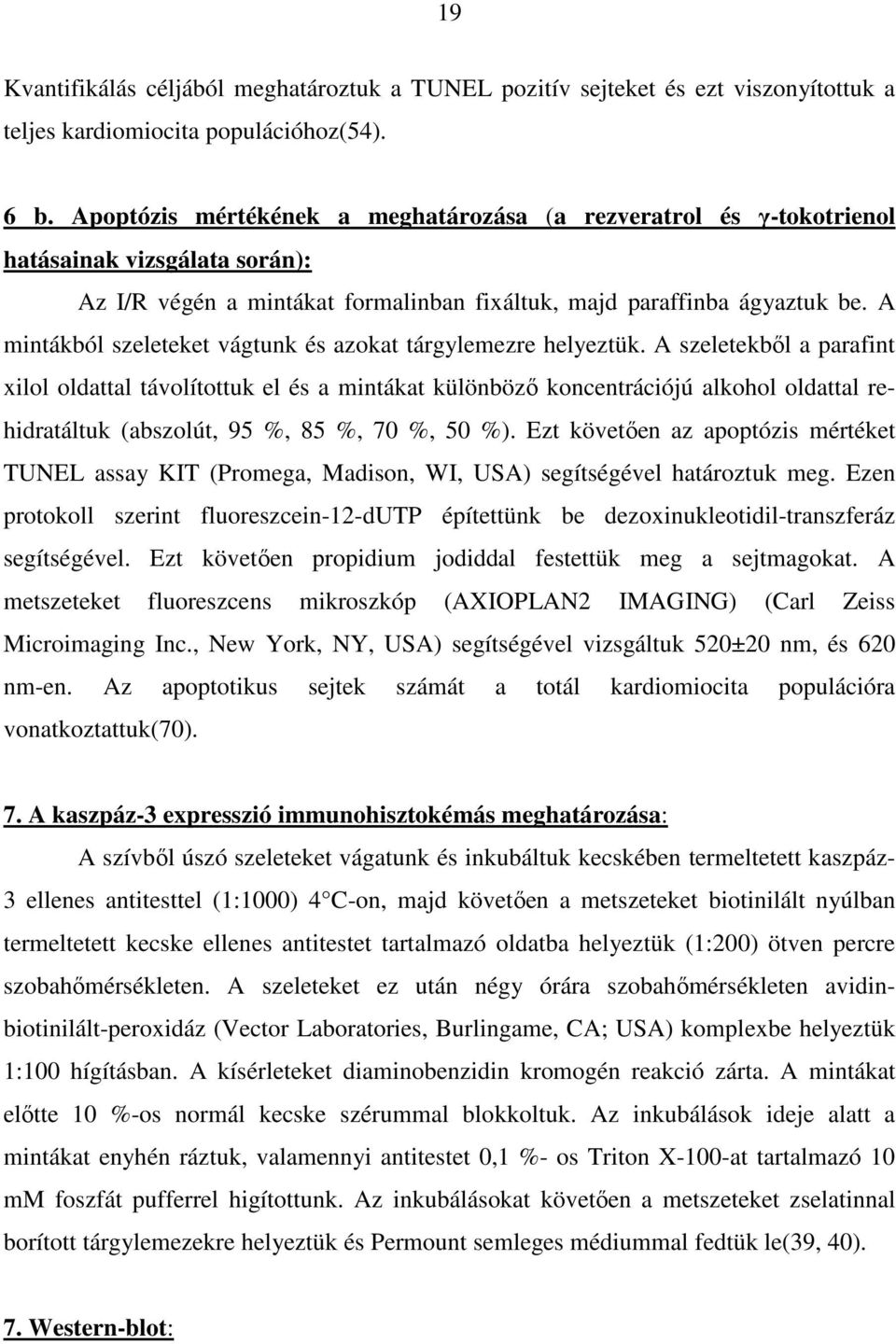 A mintákból szeleteket vágtunk és azokat tárgylemezre helyeztük.