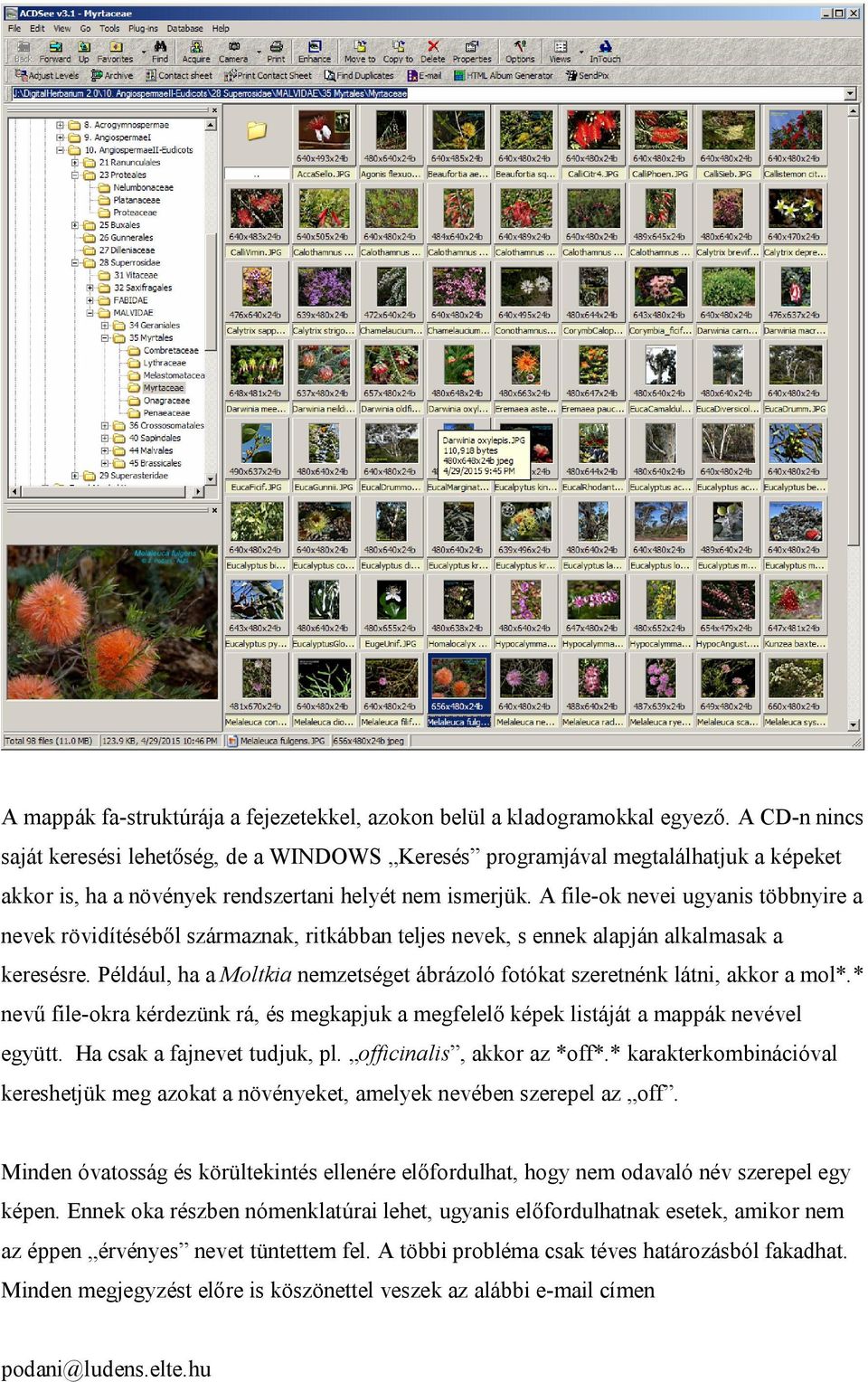 A file-ok nevei ugyanis többnyire a nevek rövidítéséből származnak, ritkábban teljes nevek, s ennek alapján alkalmasak a keresésre.