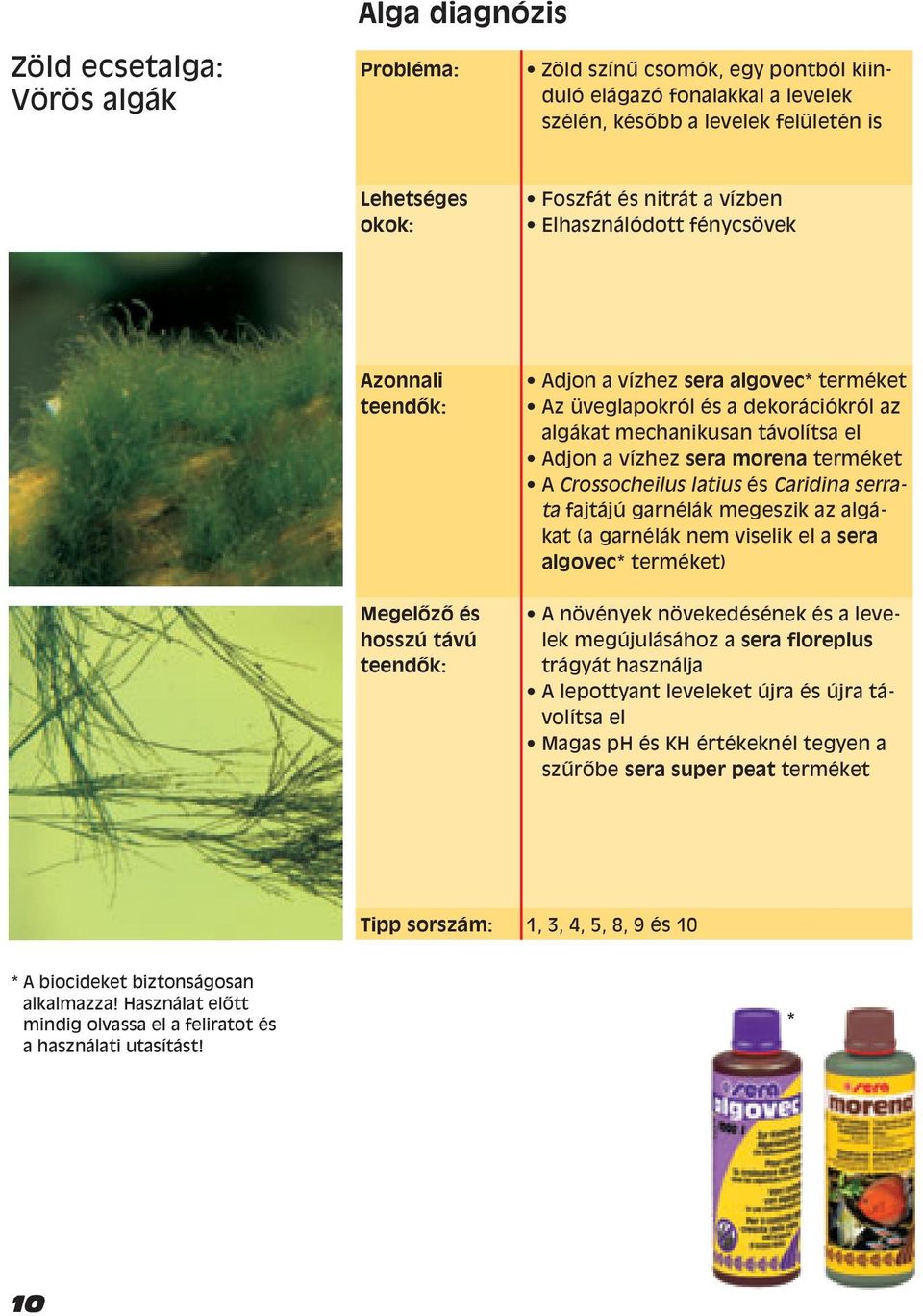 morena terméket A Crossocheilus latius és Caridina serrata fajtájú garnélák megeszik az algákat (a garnélák nem viselik el a sera algovec* terméket) A növények növekedésének és a levelek