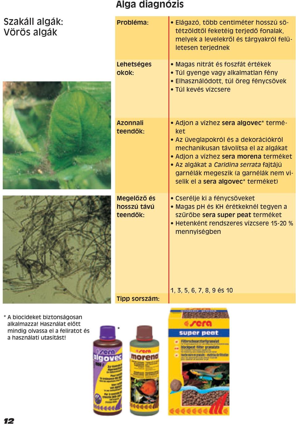 üveglapokról és a dekorációkról mechanikusan távolítsa el az algákat Adjon a vízhez sera morena terméket Az algákat a Caridina serrata fajtájú garnélák megeszik (a garnélák nem viselik el a sera