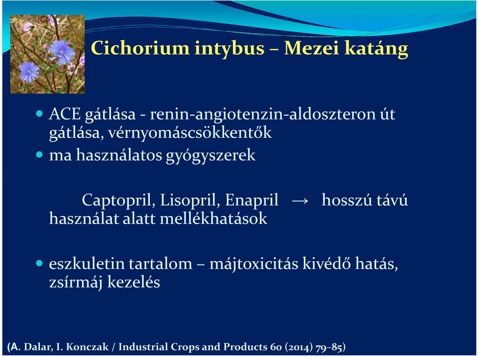 hosszú távú használat alatt mellékhatások eszkuletin tartalom májtoxicitás kivédő