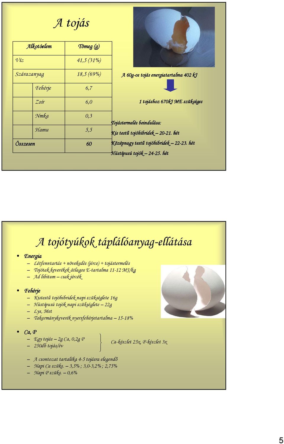 héth A tojótyúkok táplálóanyag-ellátása Energia Létfenntartás + növekedés (jérce) + tojástermelés Tojótak.