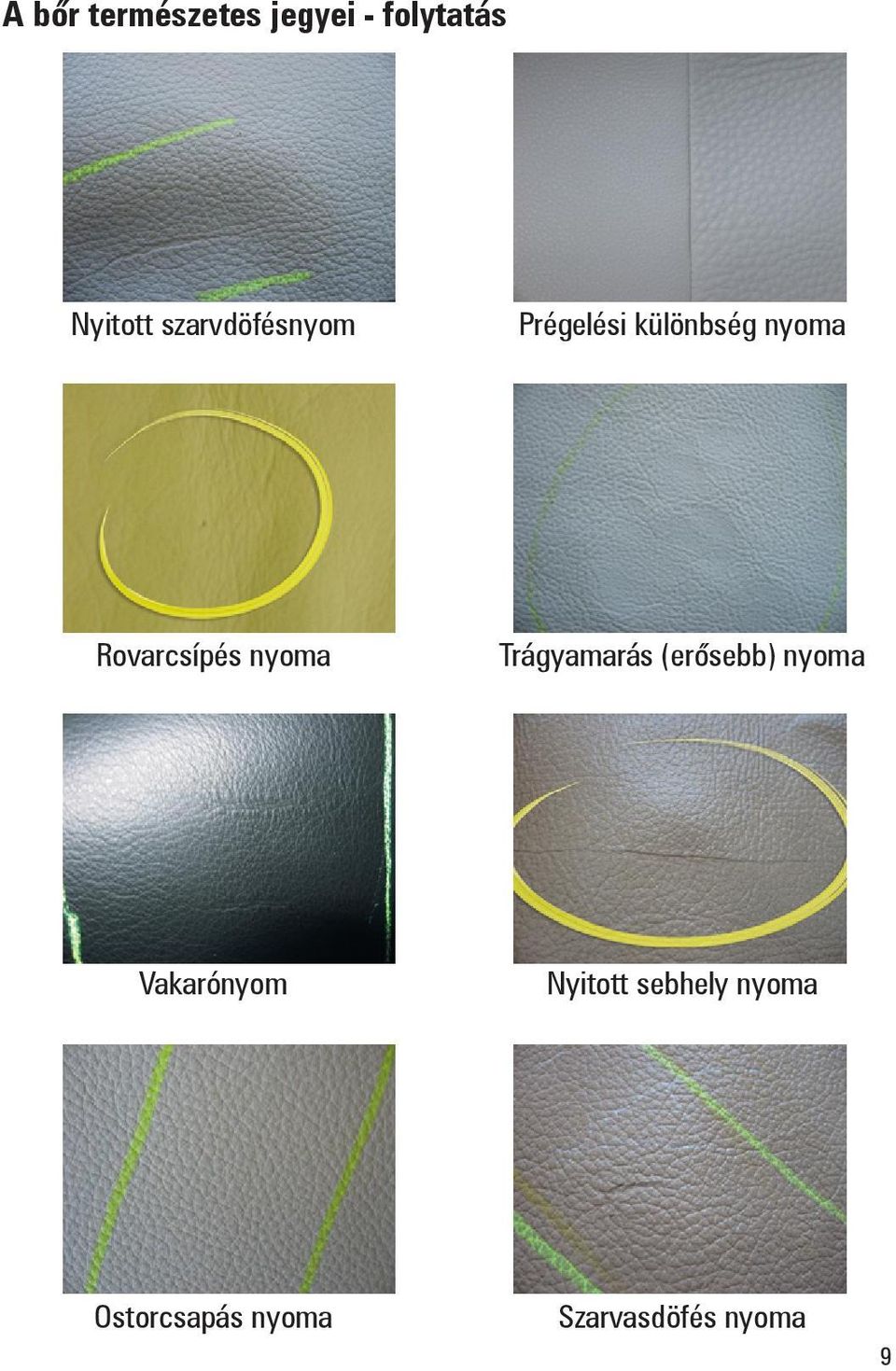 Rovarcsípés nyoma Trágyamarás (erõsebb) nyoma