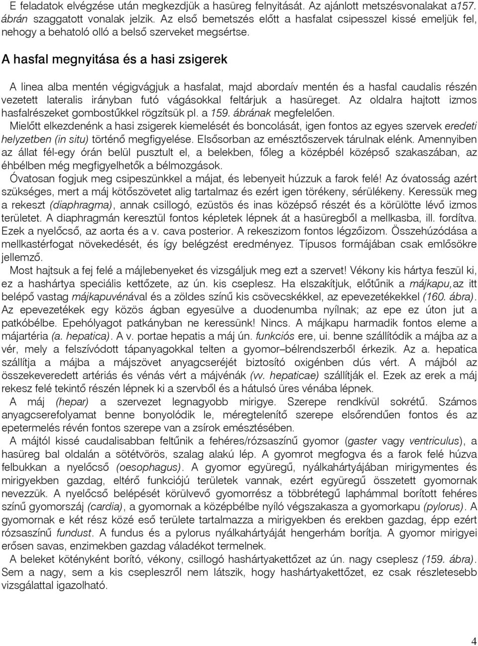 A hasfal megnyitása és a hasi zsigerek A linea alba mentén végigvágjuk a hasfalat, majd abordaív mentén és a hasfal caudalis részén vezetett lateralis irányban futó vágásokkal feltárjuk a hasüreget.