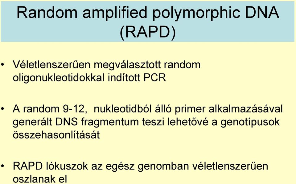 primer alkalmazásával generált DNS fragmentum teszi lehetővé a