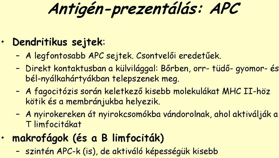 A fagocitózis során keletkező kisebb molekulákat MHC II-höz kötik és a membránjukba helyezik.