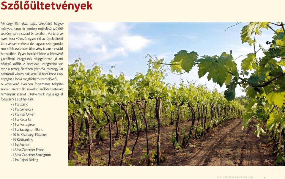 Egyes borfajtáikhoz a környező gazdáktól integrálnak válogatottan jó minőségű szőlőt.