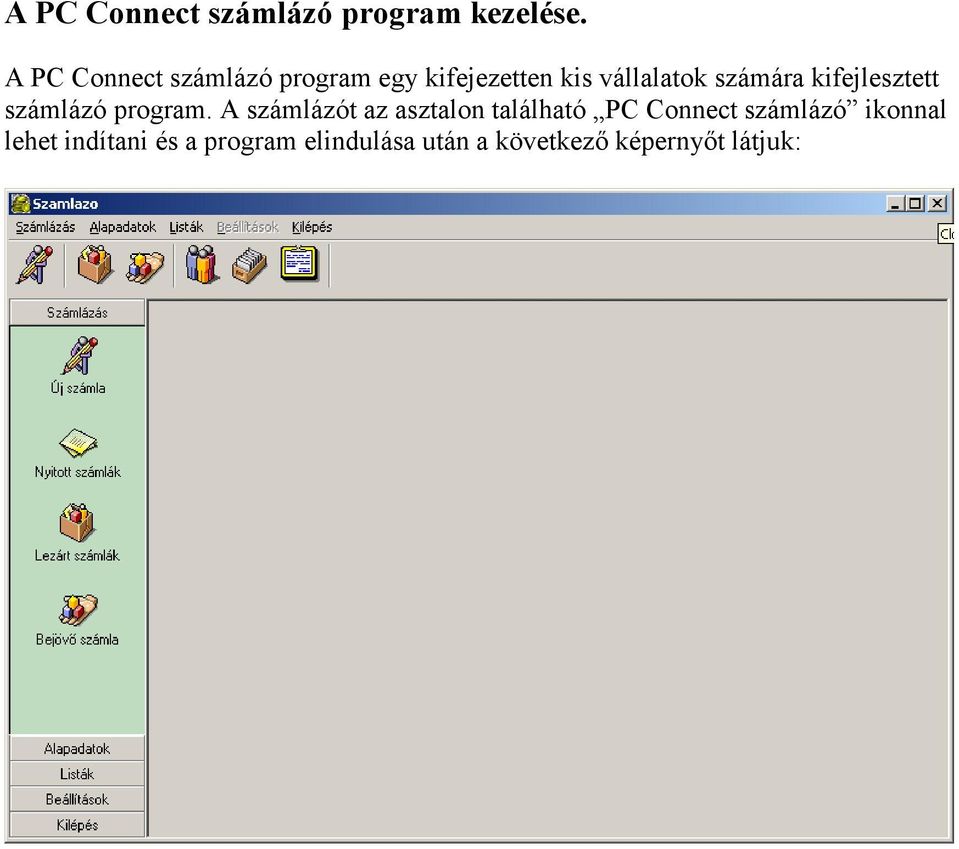 kifejlesztett számlázó program.