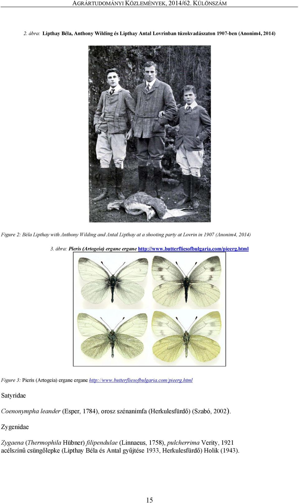 html Figure 3: Pieris (Artogeia) ergane ergane http://www.butterfliesofbulgaria.com/pieerg.