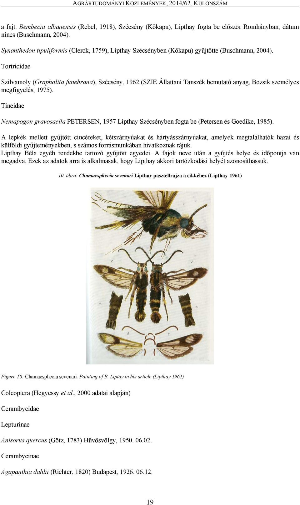 Tortricidae Szilvamoly (Grapholita funebrana), Szécsény, 1962 (SZIE Állattani Tanszék bemutató anyag, Bozsik személyes megfigyelés, 1975).