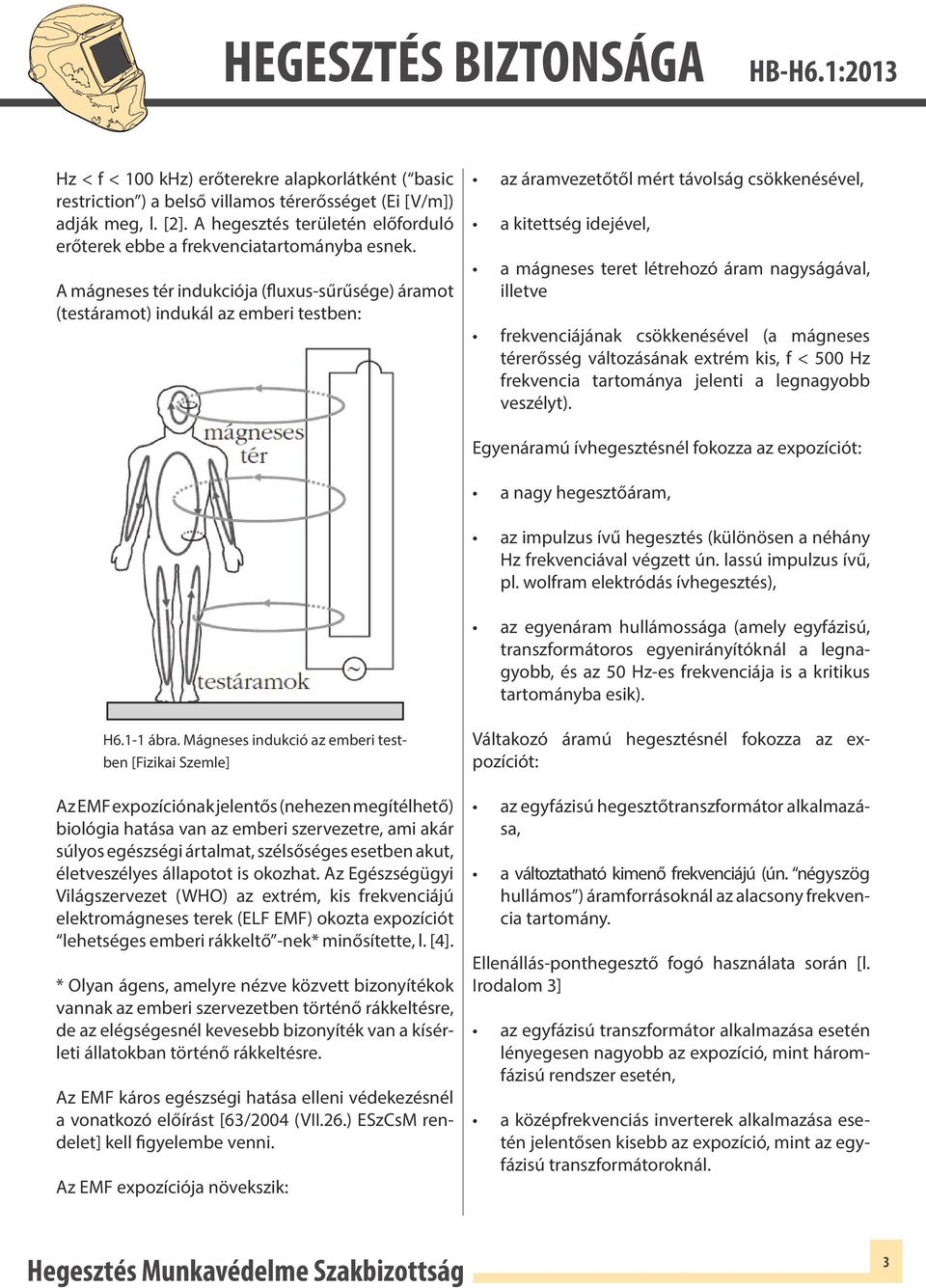 A mágneses tér indukciója (fluxus-sűrűsége) áramot (testáramot) indukál az emberi testben: az áramvezetőtől mért távolság csökkenésével, a kitettség idejével, a mágneses teret létrehozó áram