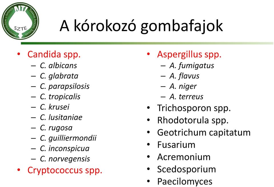 norvegensis Cryptococcus spp. Aspergillus spp. A. fumigatus A. flavus A. niger A.